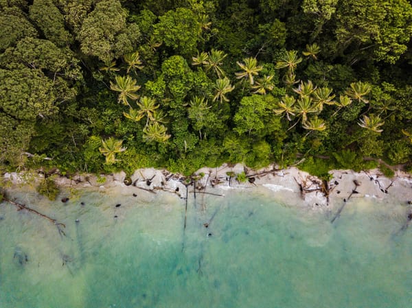 A Founders Guide to Santa Teresa, Costa Rica 2022